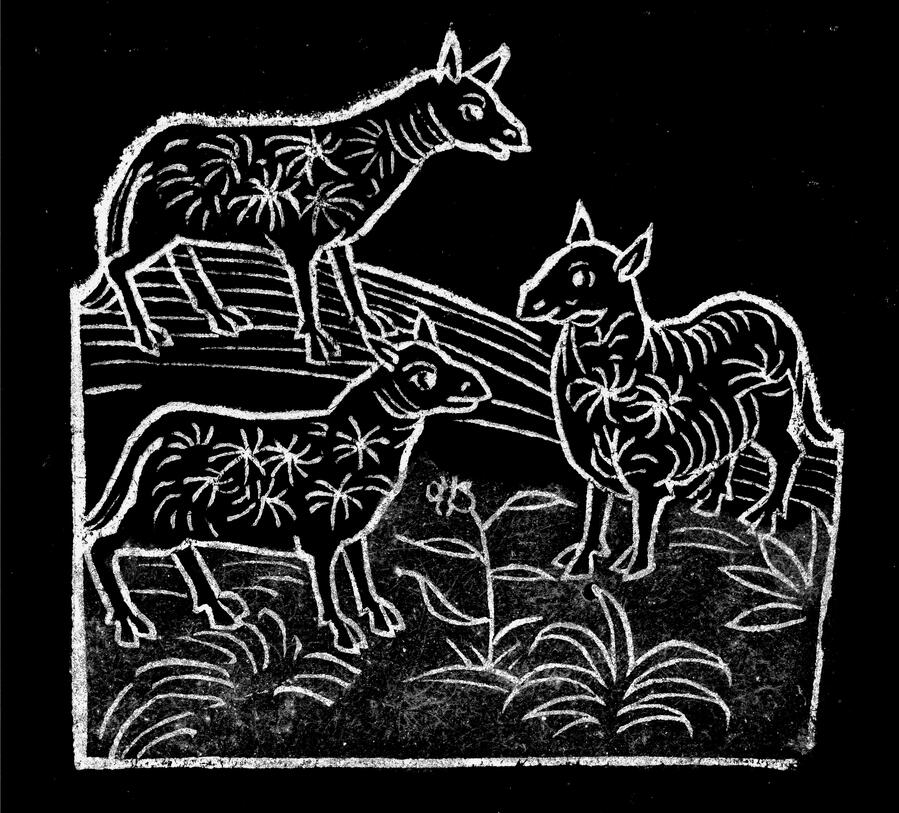 Medieval woodcut depicting three sheep in a field